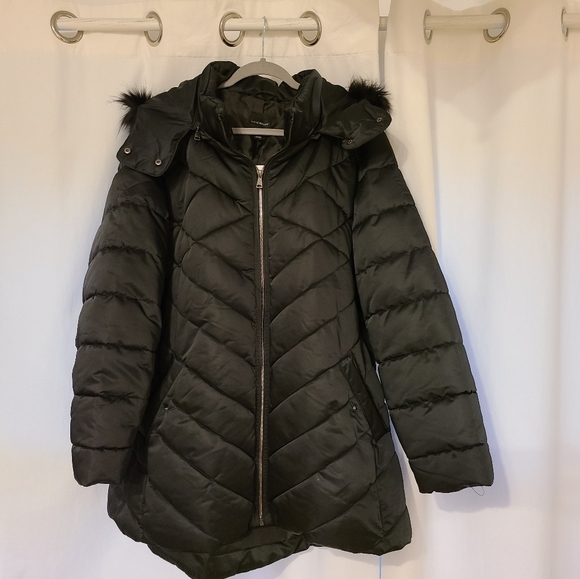 Lane Bryant Jackets & Blazers - NWT Lane Bryant Coat